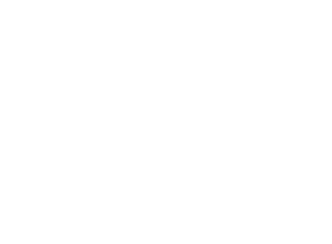 LS Estonia